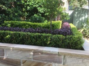 Close up of a stone retaining wall with trimmed hedges